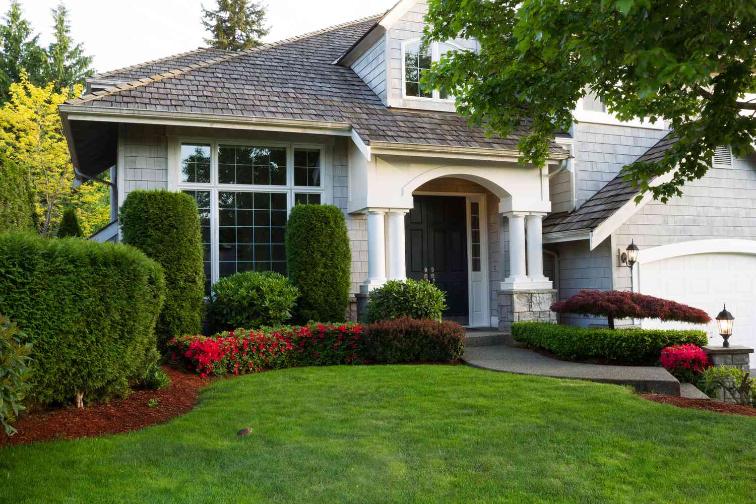 10 Evergreen Shrubs for Year-Round Curb Appeal