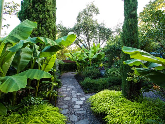 10 Tropical Garden Ideas for a Resort-Like Landscape | Garden Design
