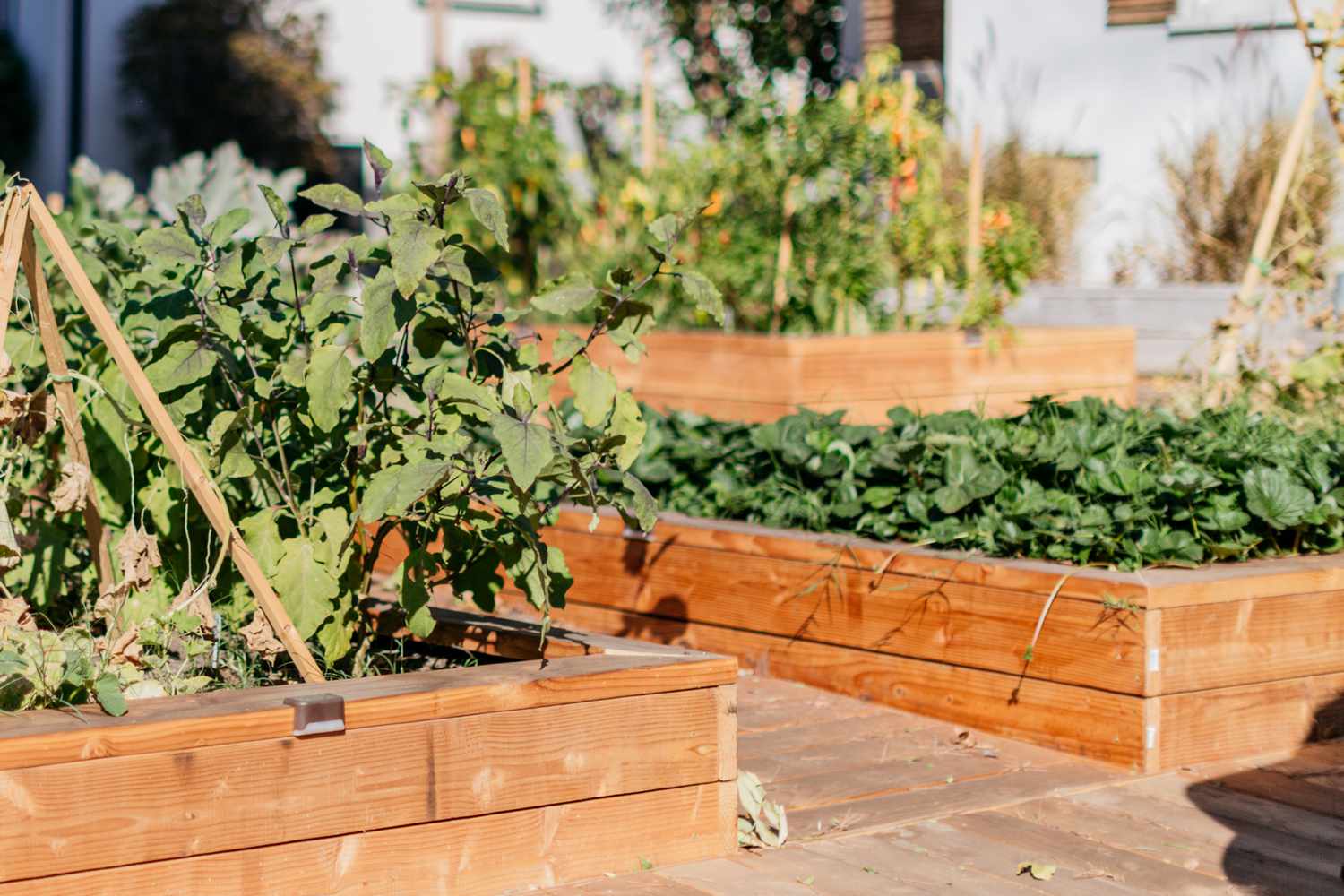 11 Free DIY Raised Planter Box Plans