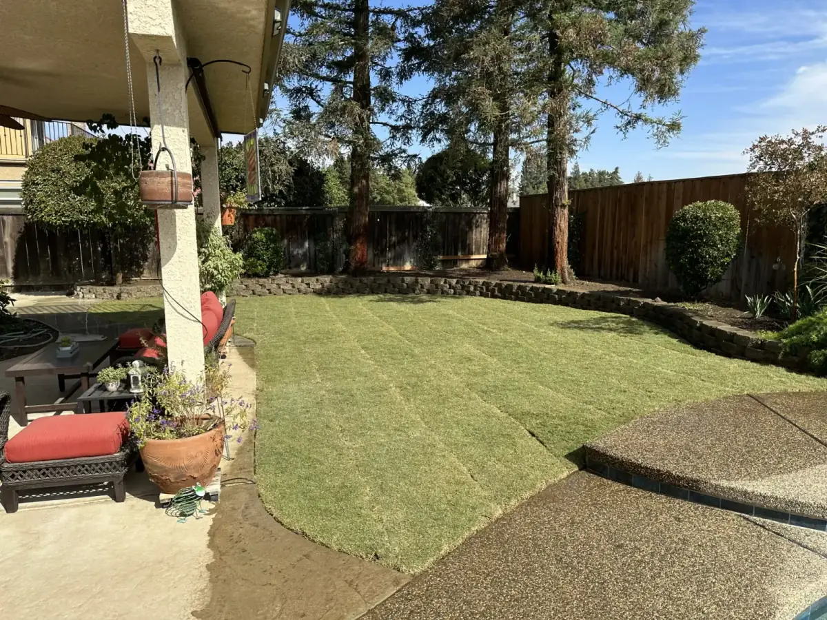 12 Landscape Project Ideas for Fresno Homes: Real Yards, Real Installs | Suarez Lawn Services Blog