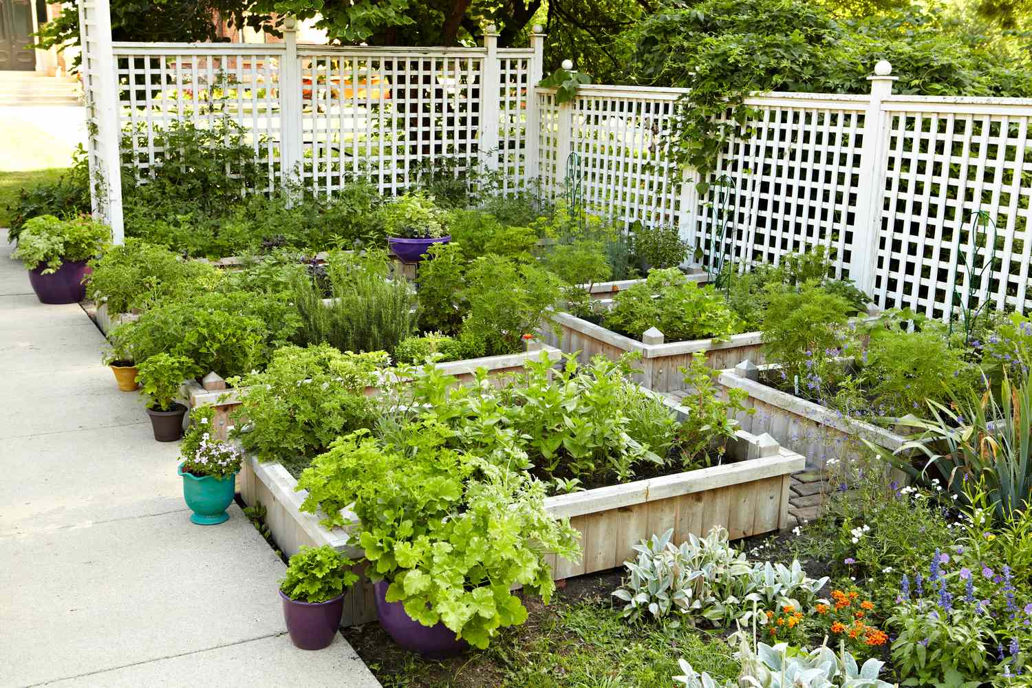 13 Vegetable Garden Fence Ideas to Protect Your Plants