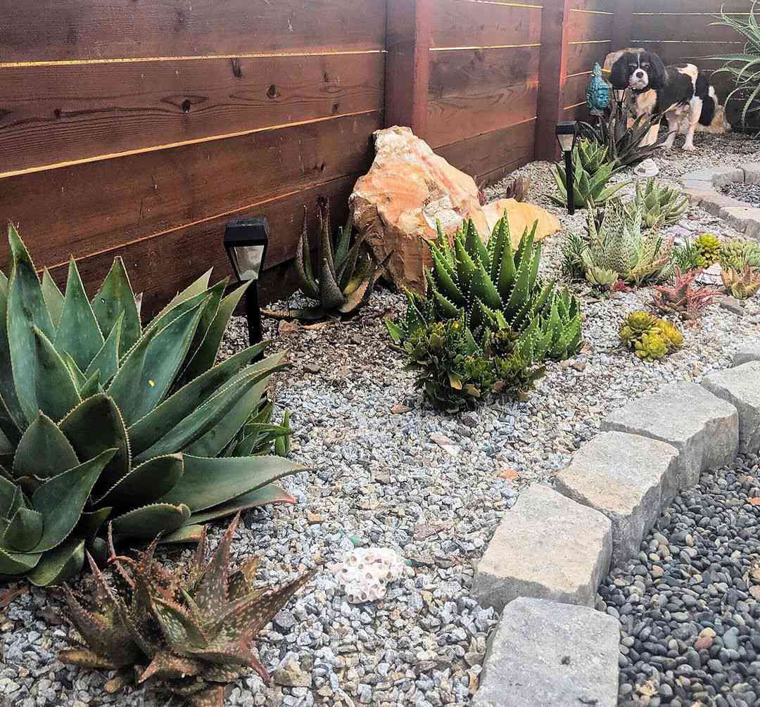14 Gravel Garden Ideas for a Water-Wise Garden