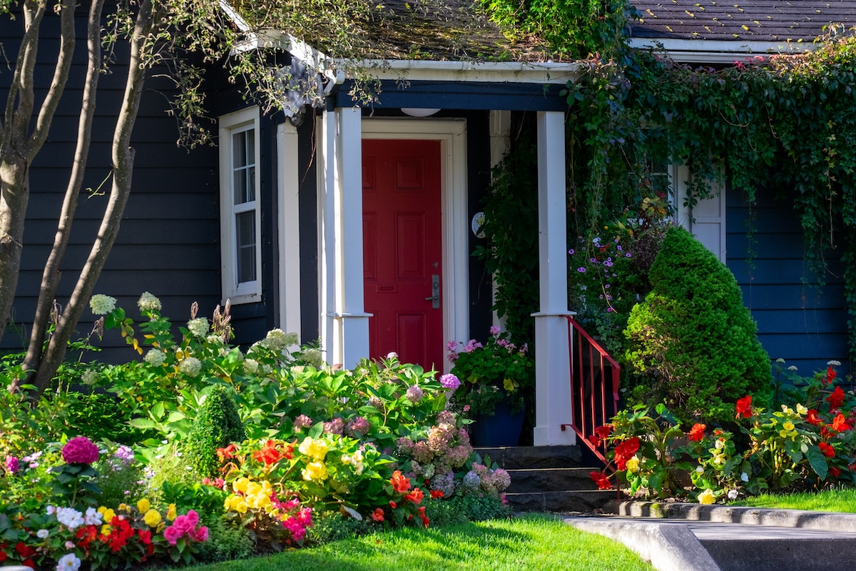 18 Best Shrubs for the Front of the House