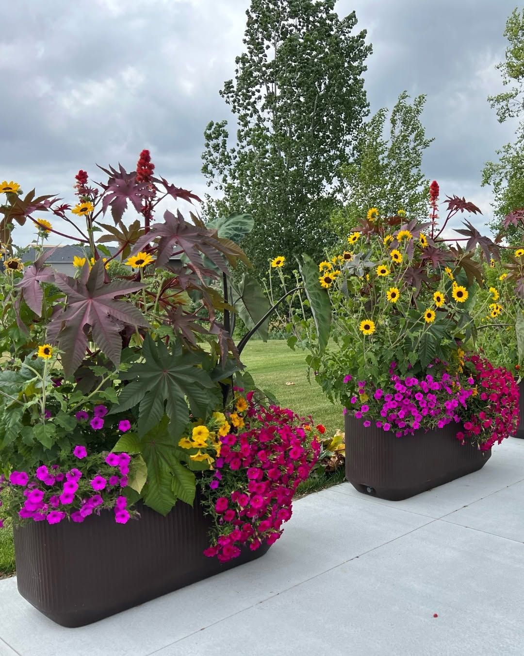 18 Container Garden Ideas for 2026 Where Planters Become the Structure of the Backyard
