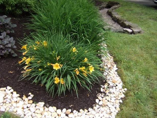 20 Landscape Edging Ideas for Lawn & Flower Bed Borders | HGTV