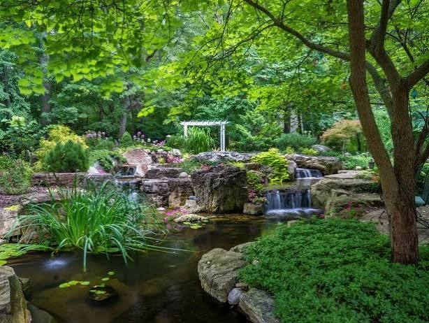 20 Stunning Garden Pond Ideas for a Serene Outdoor Escape | HGTV