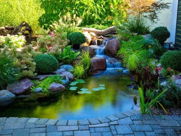 20 Stunning Garden Pond Ideas for a Serene Outdoor Escape | HGTV