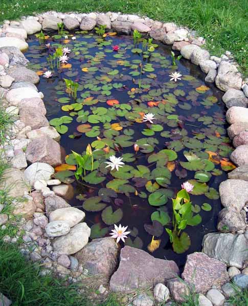21 Garden Design Ideas, Small Ponds Turning Your Backyard Landscaping into Tranquil Retreats