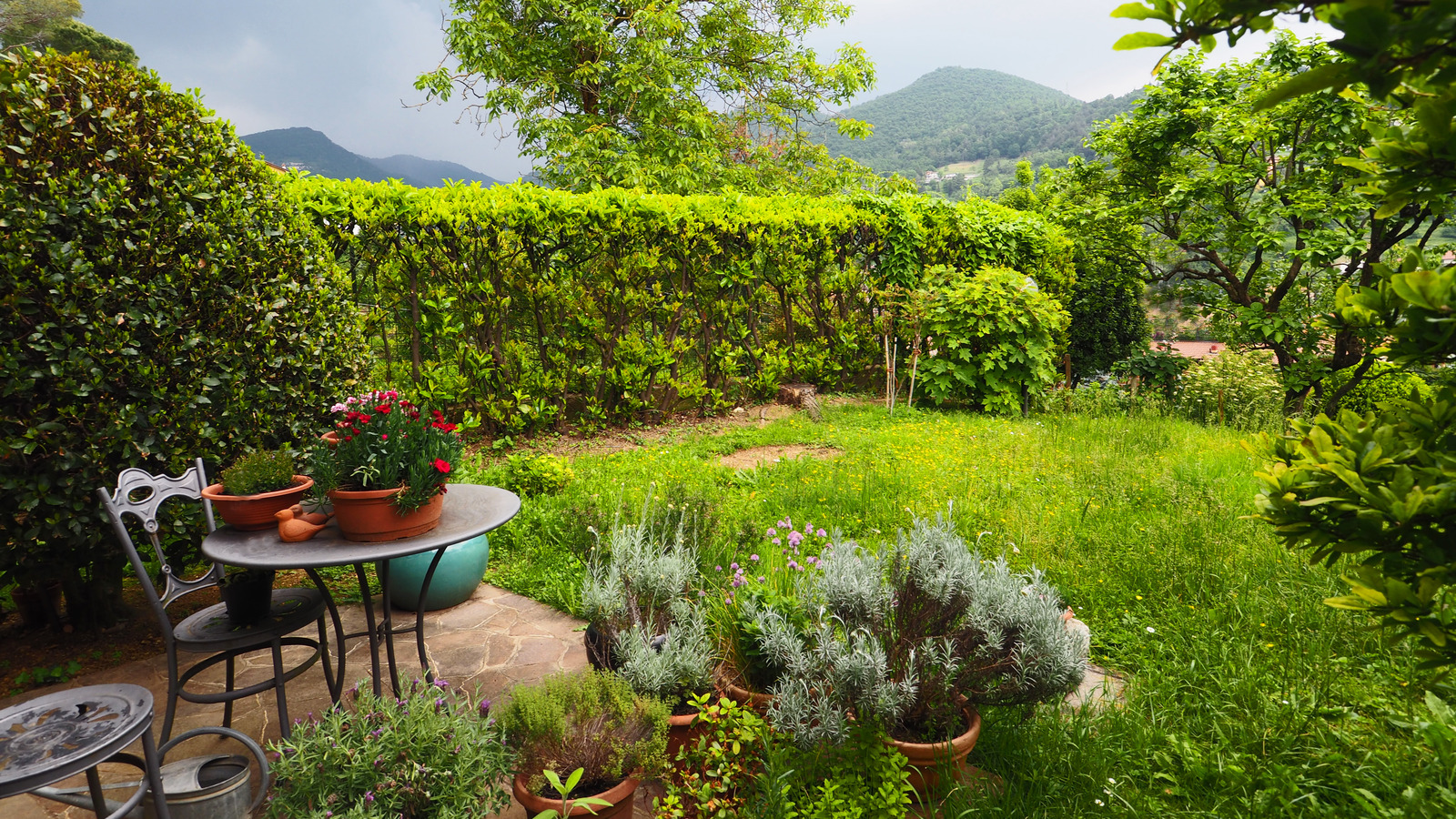 24 Plants You Need In Your Yard To Create The Perfect Secret Garden Getaway