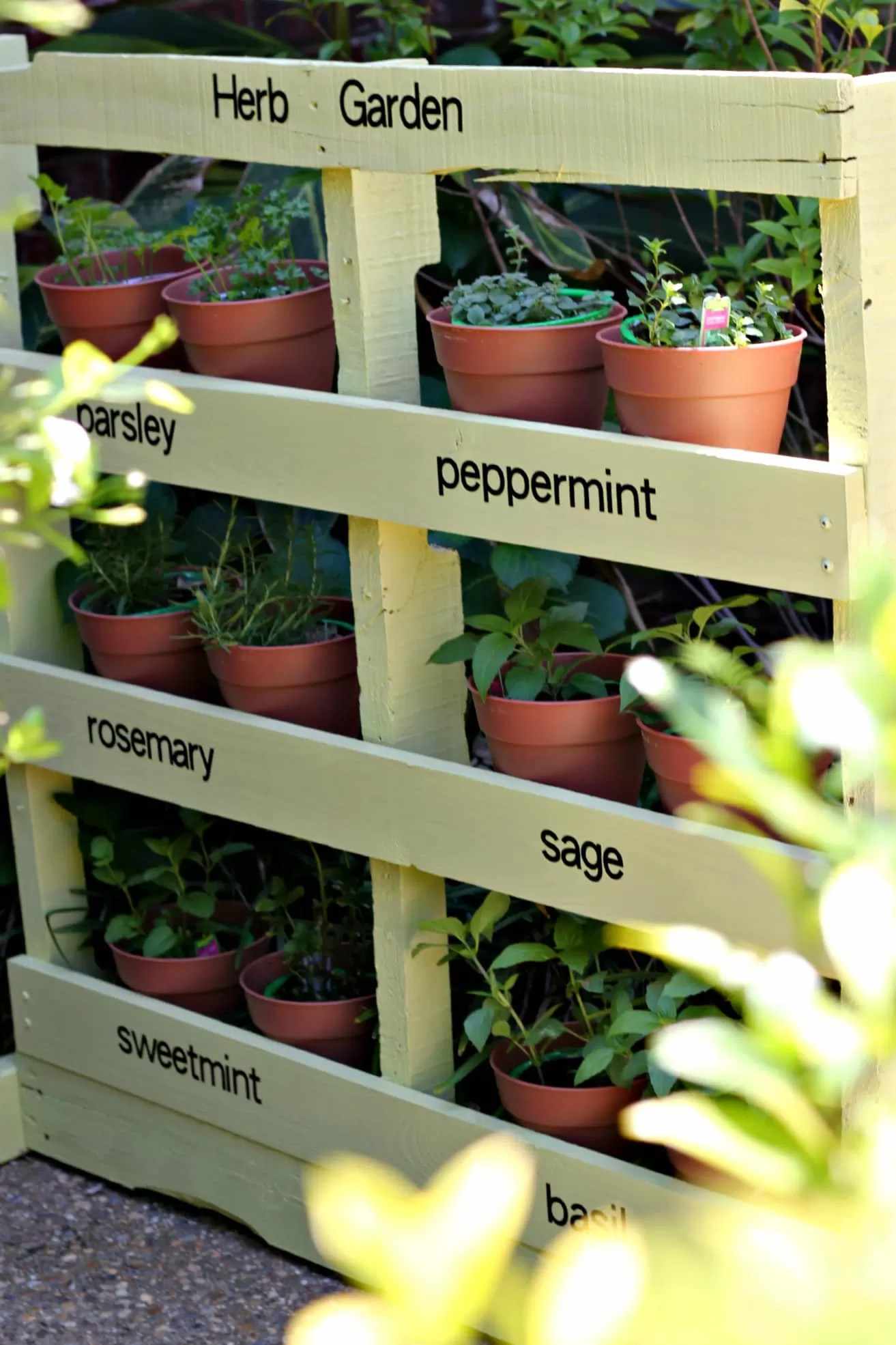 28 Unique DIY Vertical Garden Ideas to Try