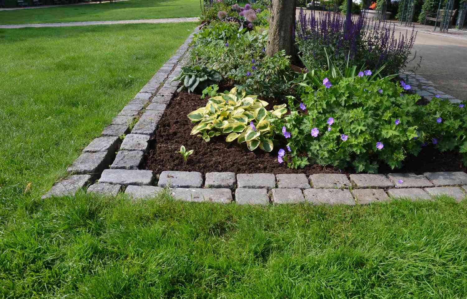 30 Budget-Saving and Creative Garden Edging Ideas