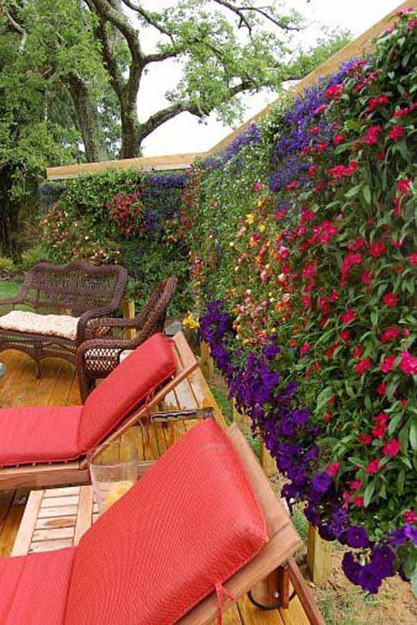 30 Clever (and Pretty) Outdoor Privacy Screens