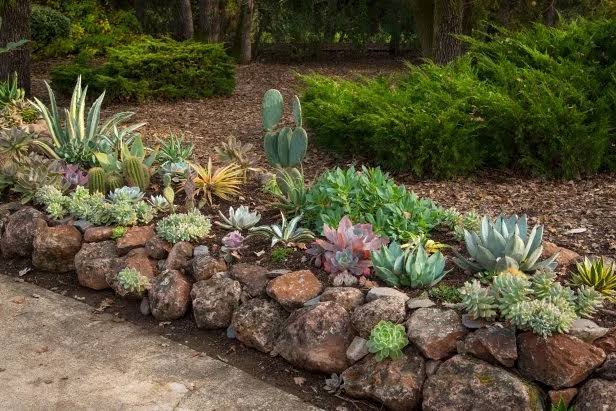 30 Gorgeous Rock Garden Ideas for Easy Outdoor Style | HGTV