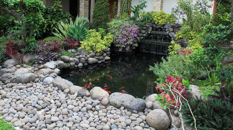 30 Koi Pond Ideas That Will Help You Find Inner Peace