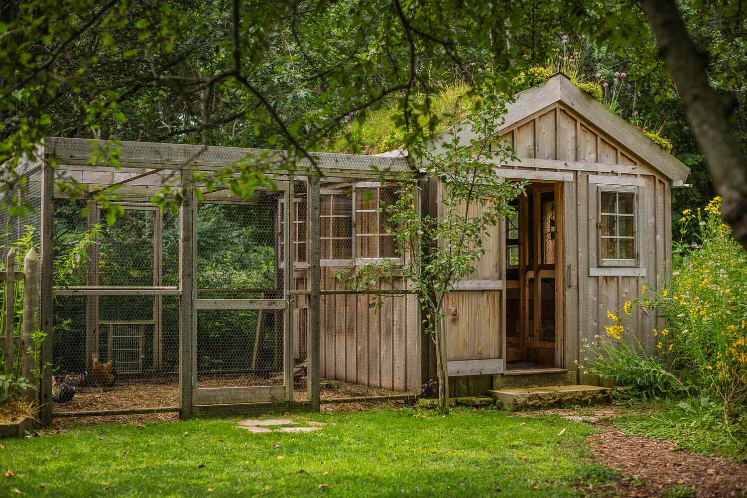 8 Ways to Style your Chicken Coop for Backyard Flocks