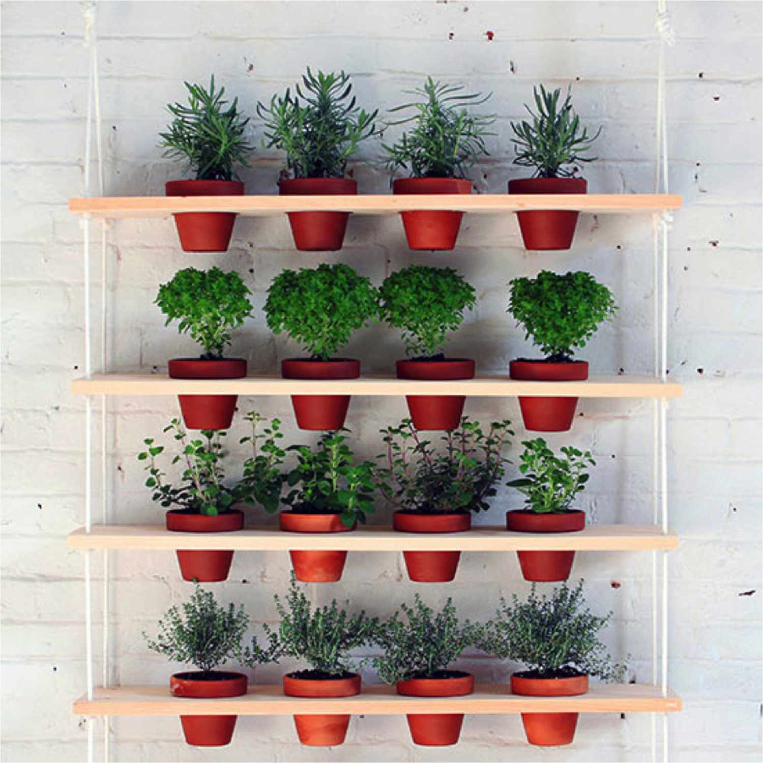 9 DIY Vertical Gardens for Better Herbs