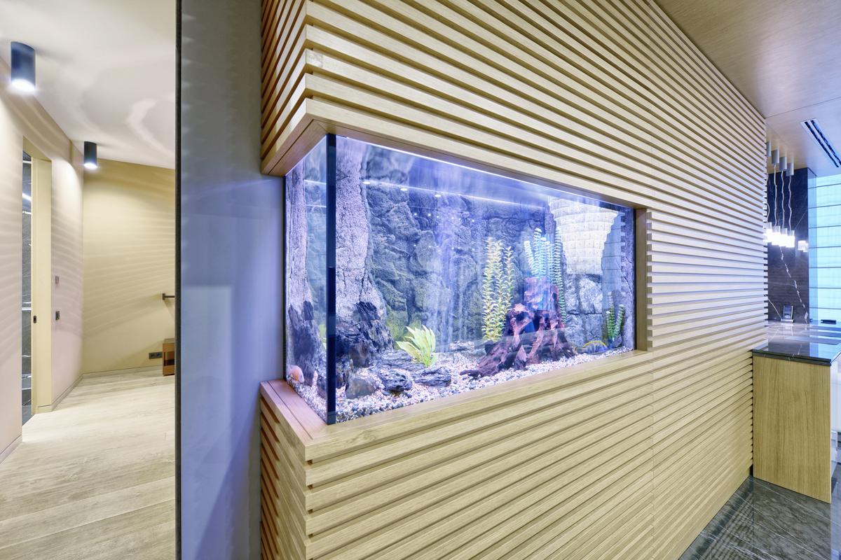 9 Unique Aquarium Designs To Incorporate Into Your Home'S Architecture