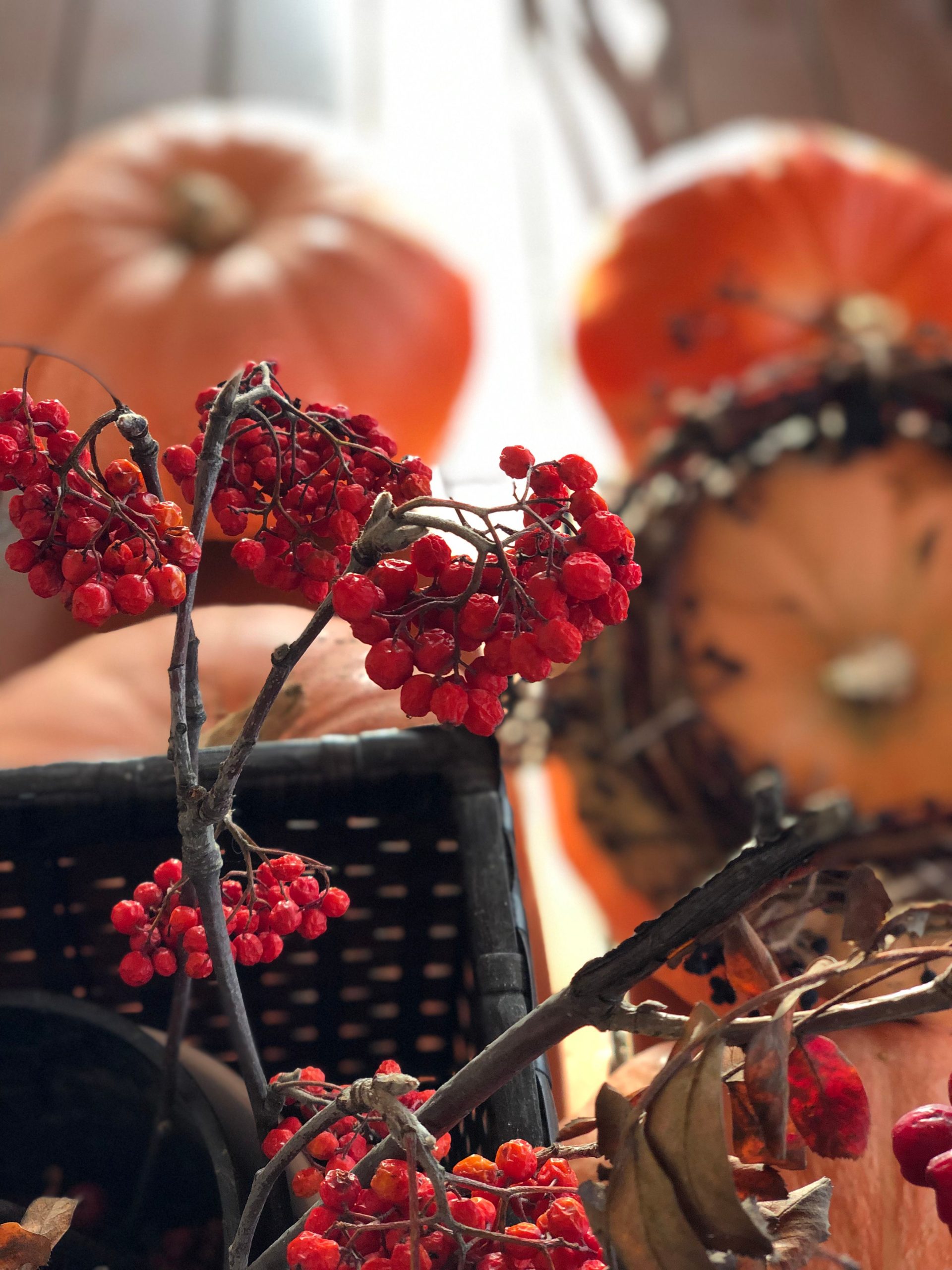 A beautiful display of autumnal decorations featuring pumpkins and red berries, perfect for seasonal themes.