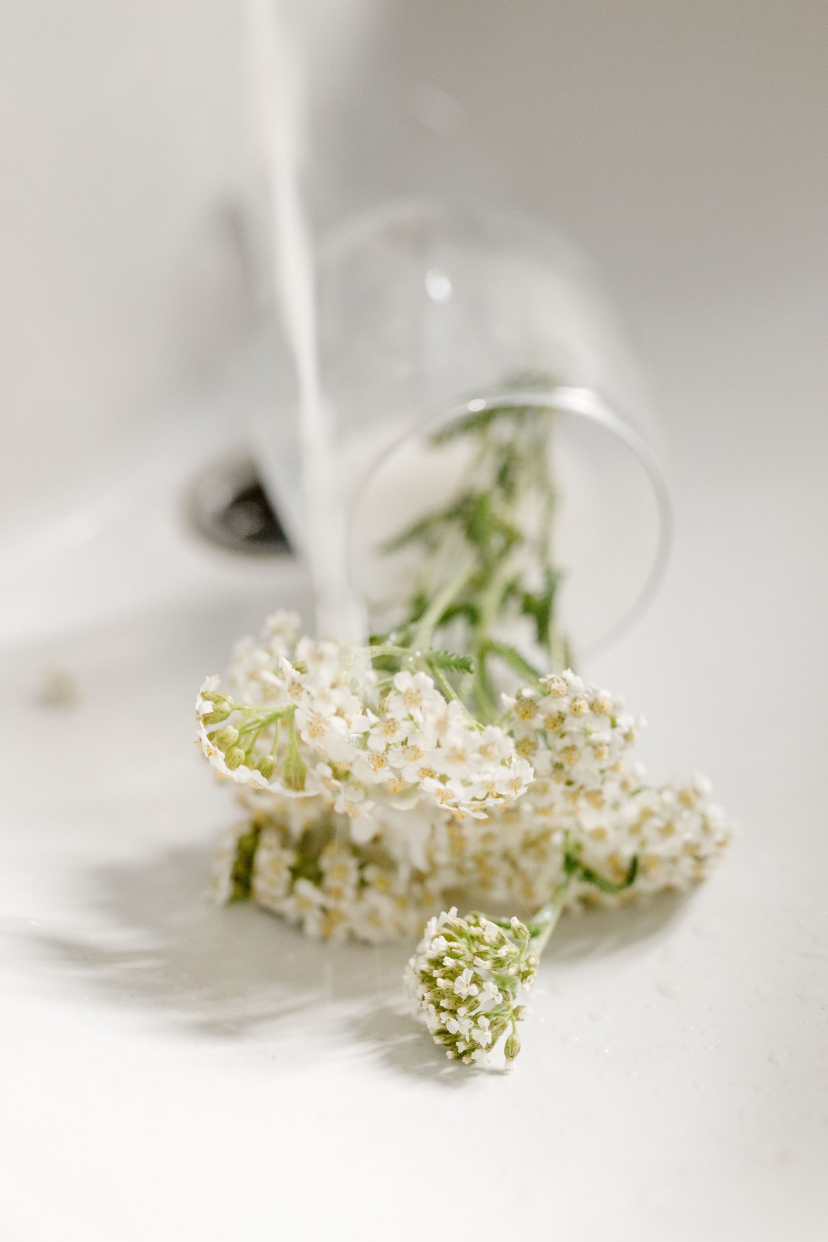 A close-up of delicate baby's breath flowers in a spilled glass with soft lighting.