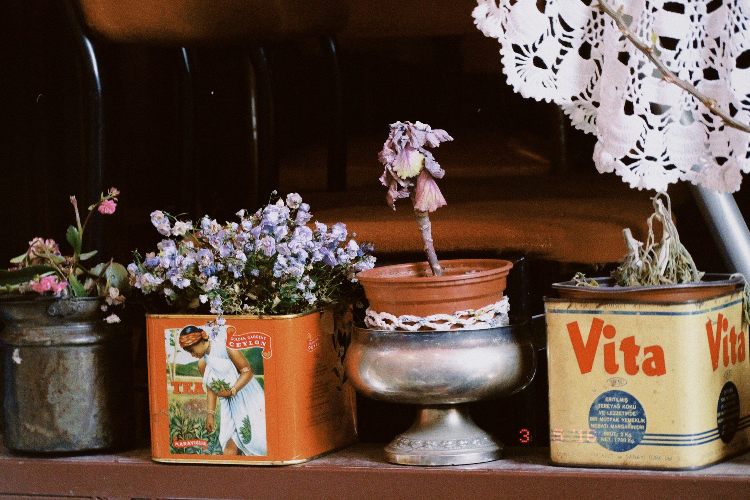 A collection of vintage tins used as flower pots, creating a charming rustic look.