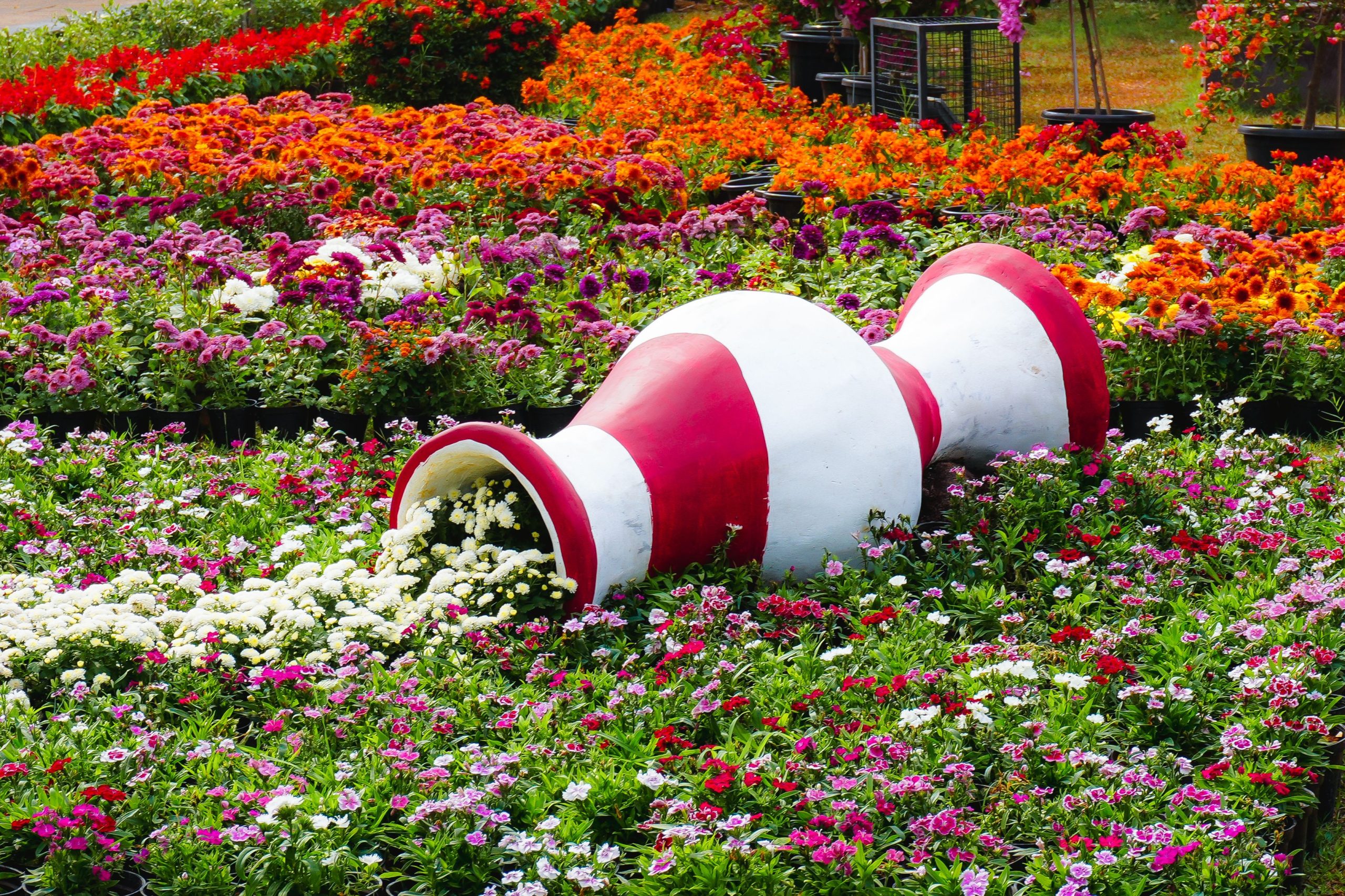A colorful garden landscape featuring a large decorative pot spilling flowers.