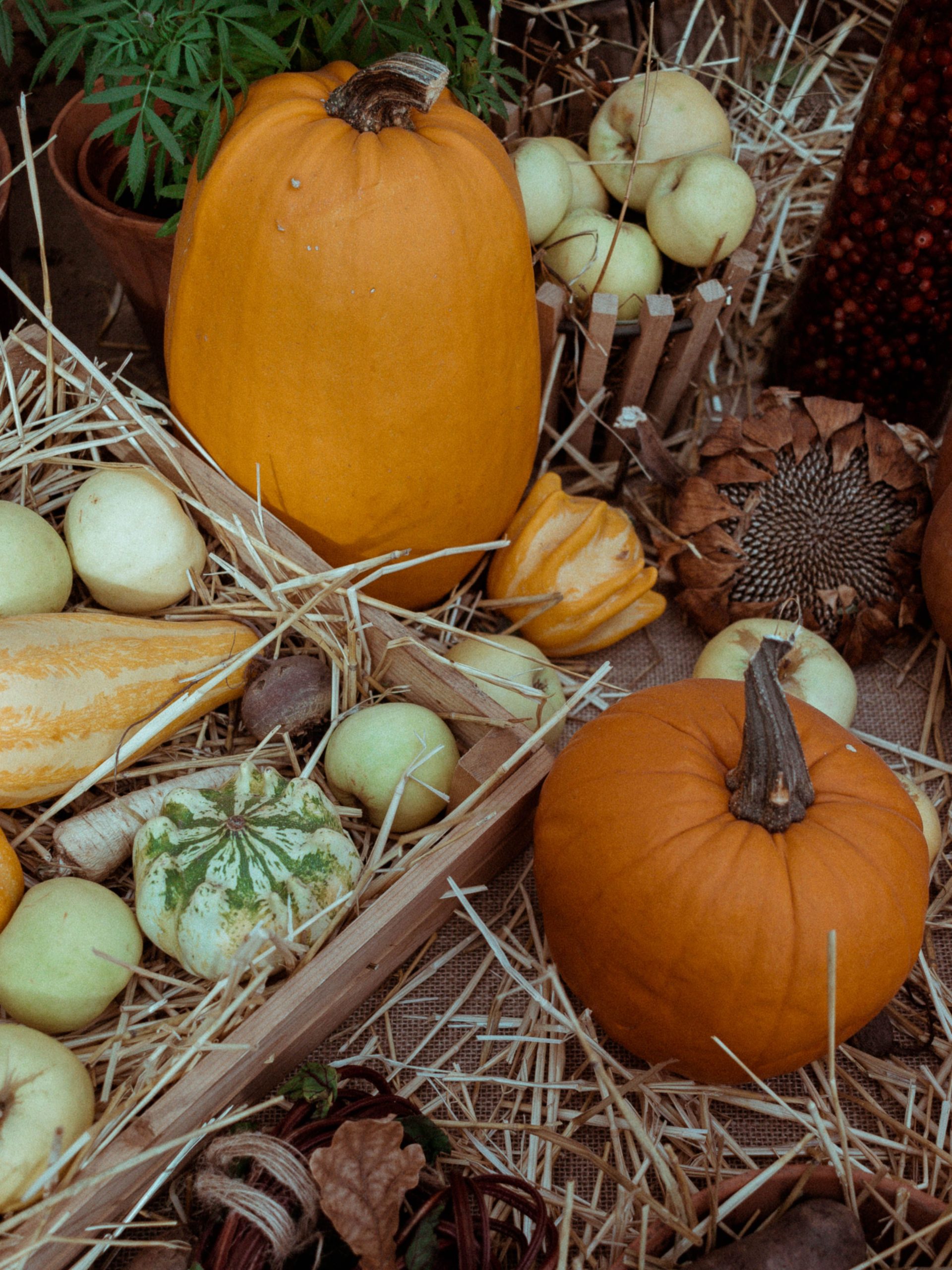 A rustic autumn harvest display featuring pumpkins, apples, and straw, capturing the essence of fall.