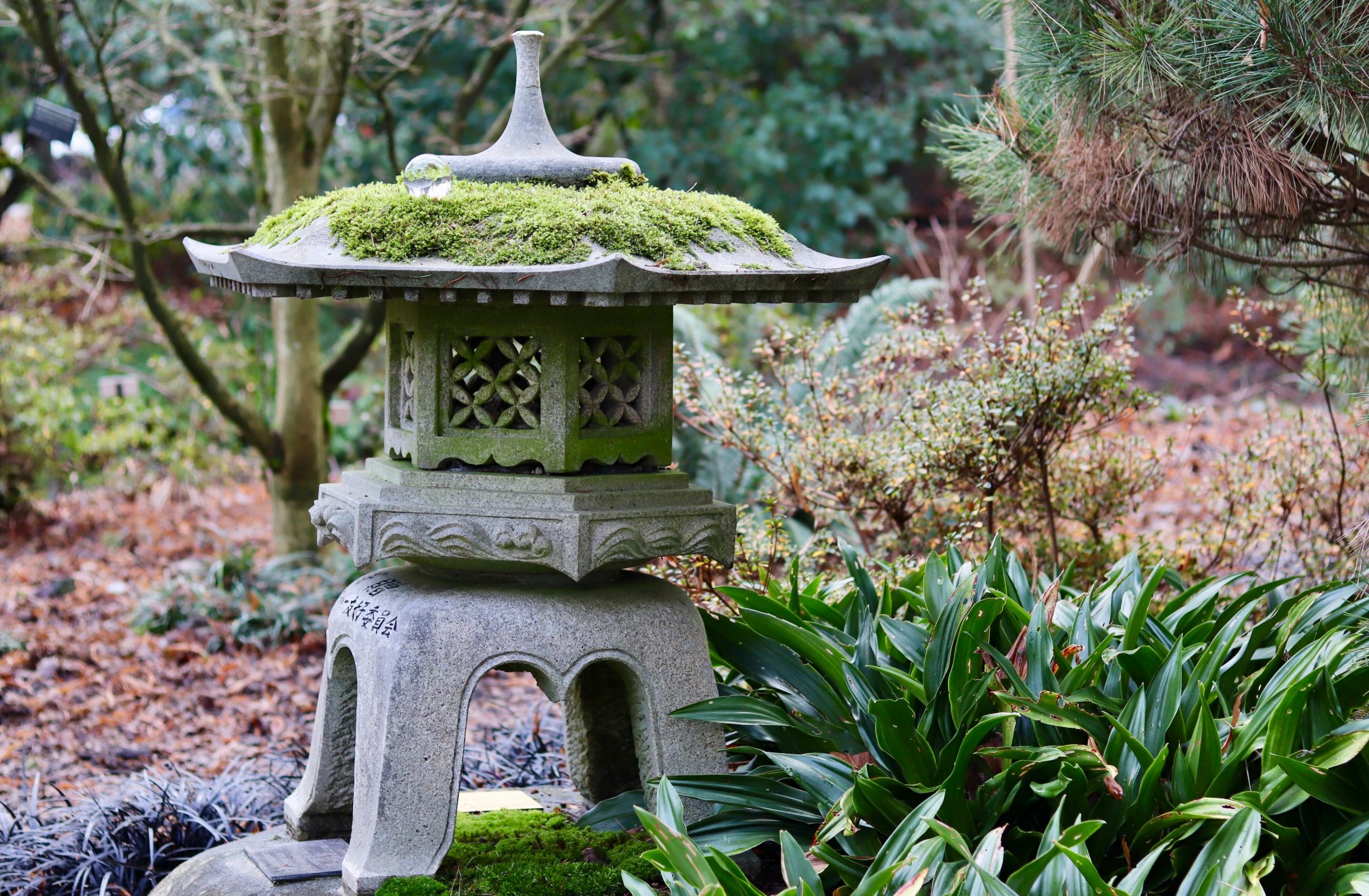 A serene garden featuring a moss-covered stone lantern surrounded by lush greenery and plants.