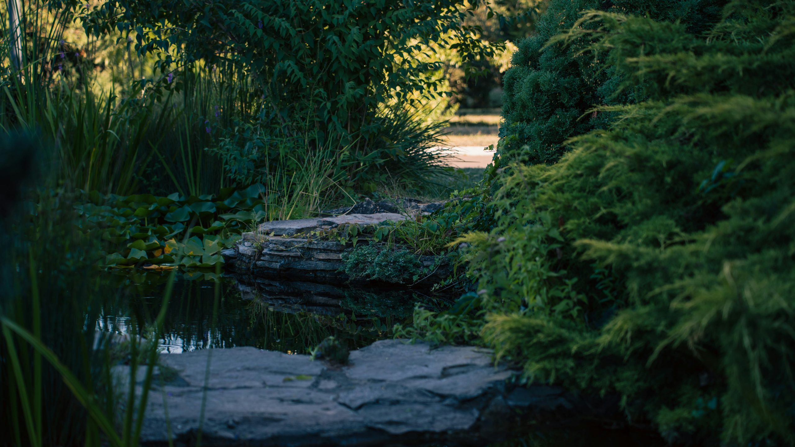 A serene garden scene featuring a tranquil pond surrounded by lush greenery, reflecting nature's vibrant colors.