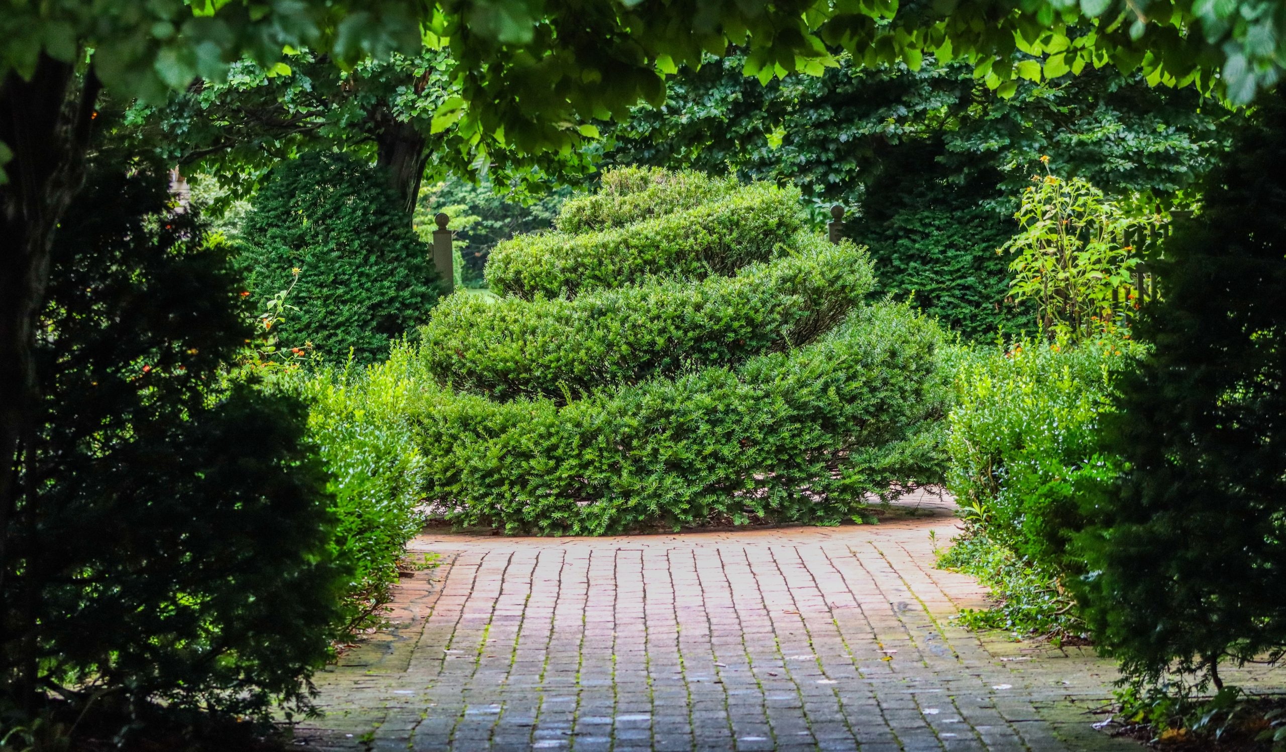 A serene outdoor garden scene featuring a spiral-shaped shrub and a red brick pathway.