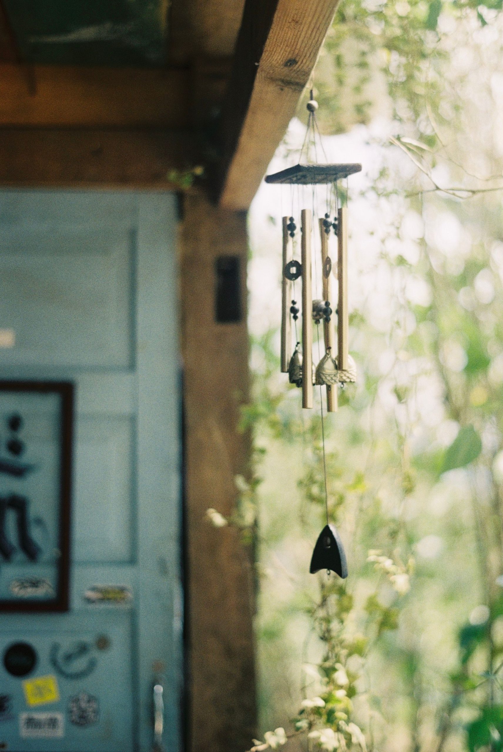 A soothing wind chime hangs in a rustic, leafy outdoor space, creating tranquility.