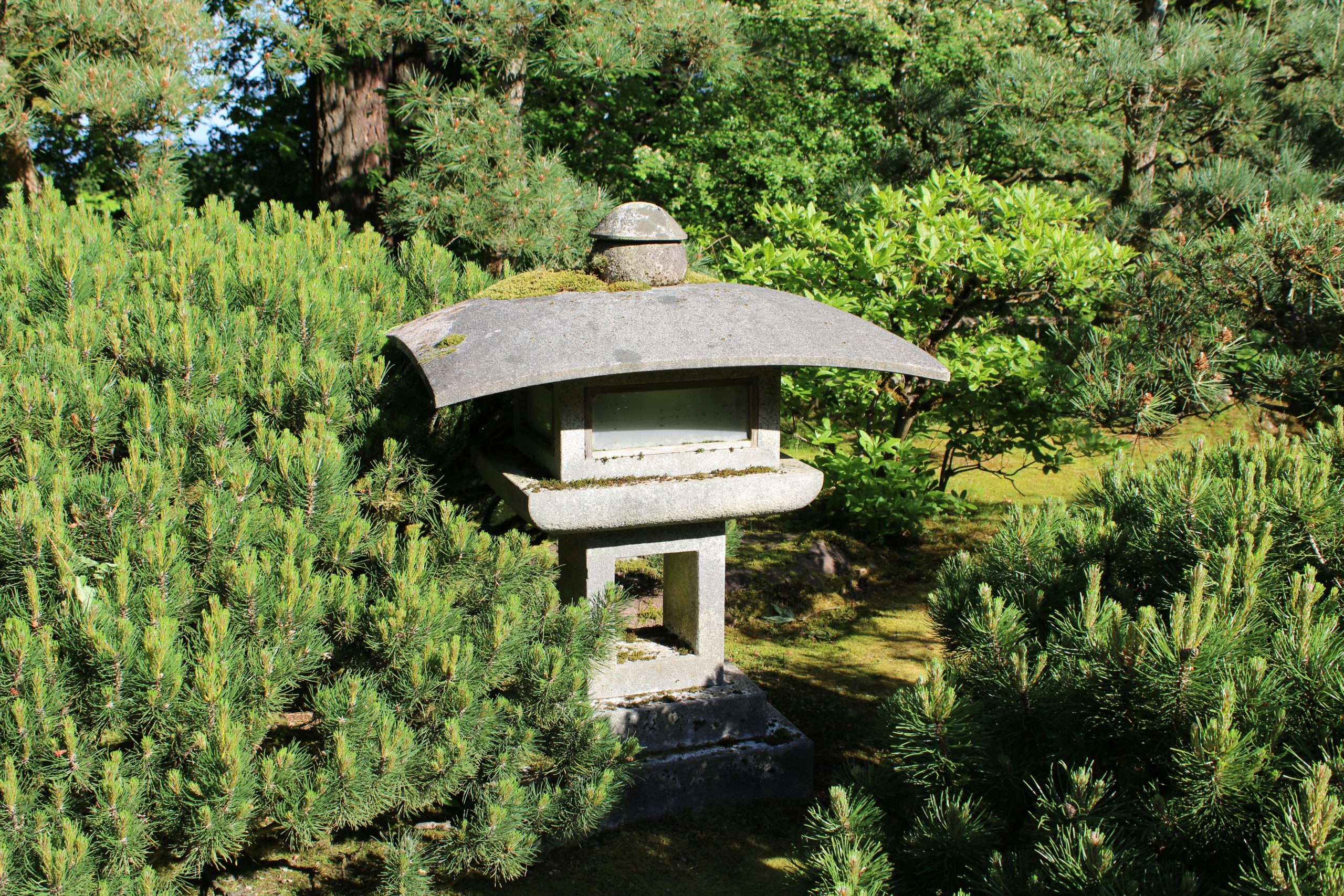 A traditional stone lantern with a curved roof stands nestled among dense, vibrant greenery in a serene garden. The lantern's surface is adorned with patches of moss, adding to its timeless charm. Sur