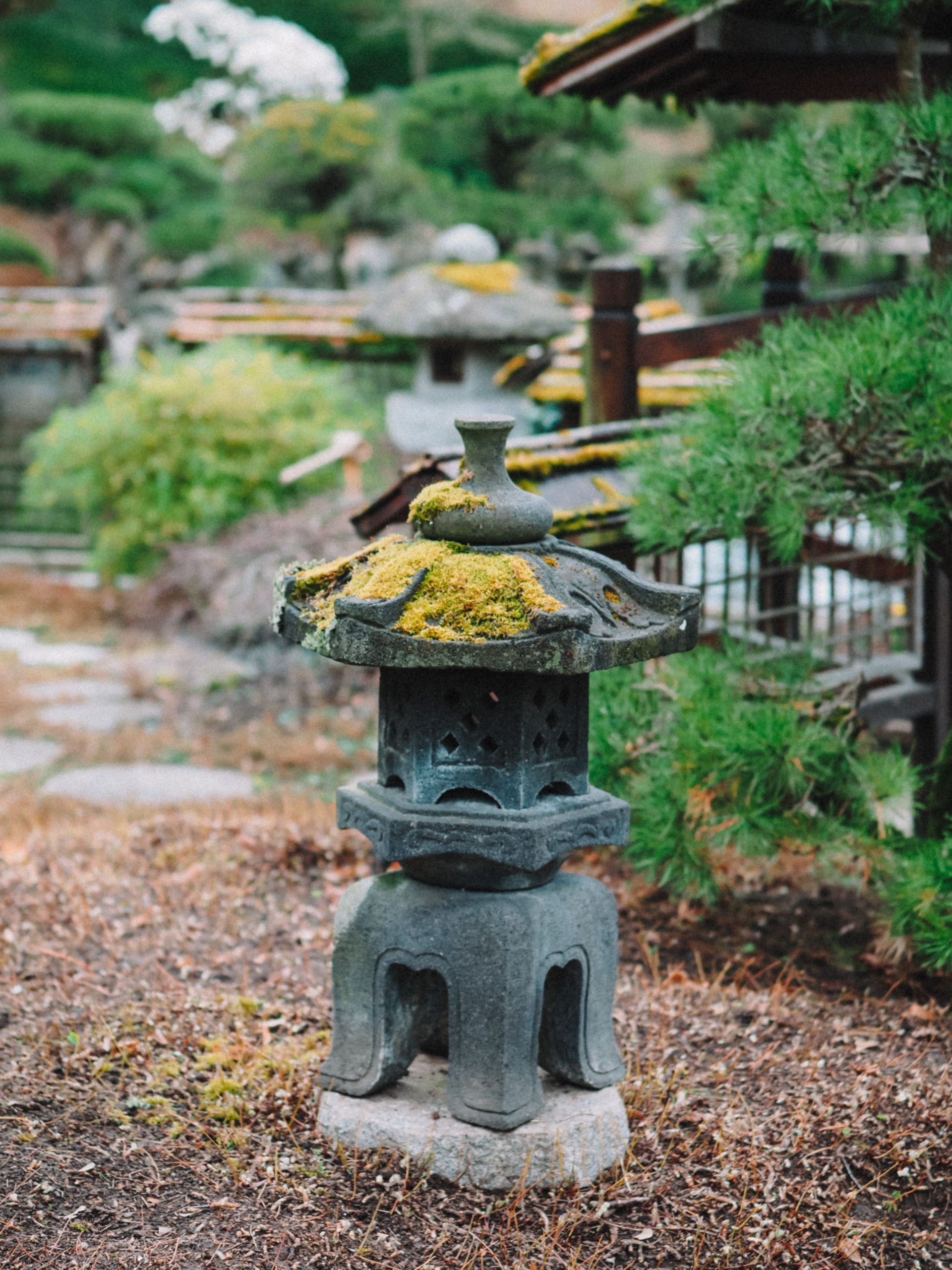 A tranquil Japanese garden scene featuring a moss-covered stone lantern among lush greenery.