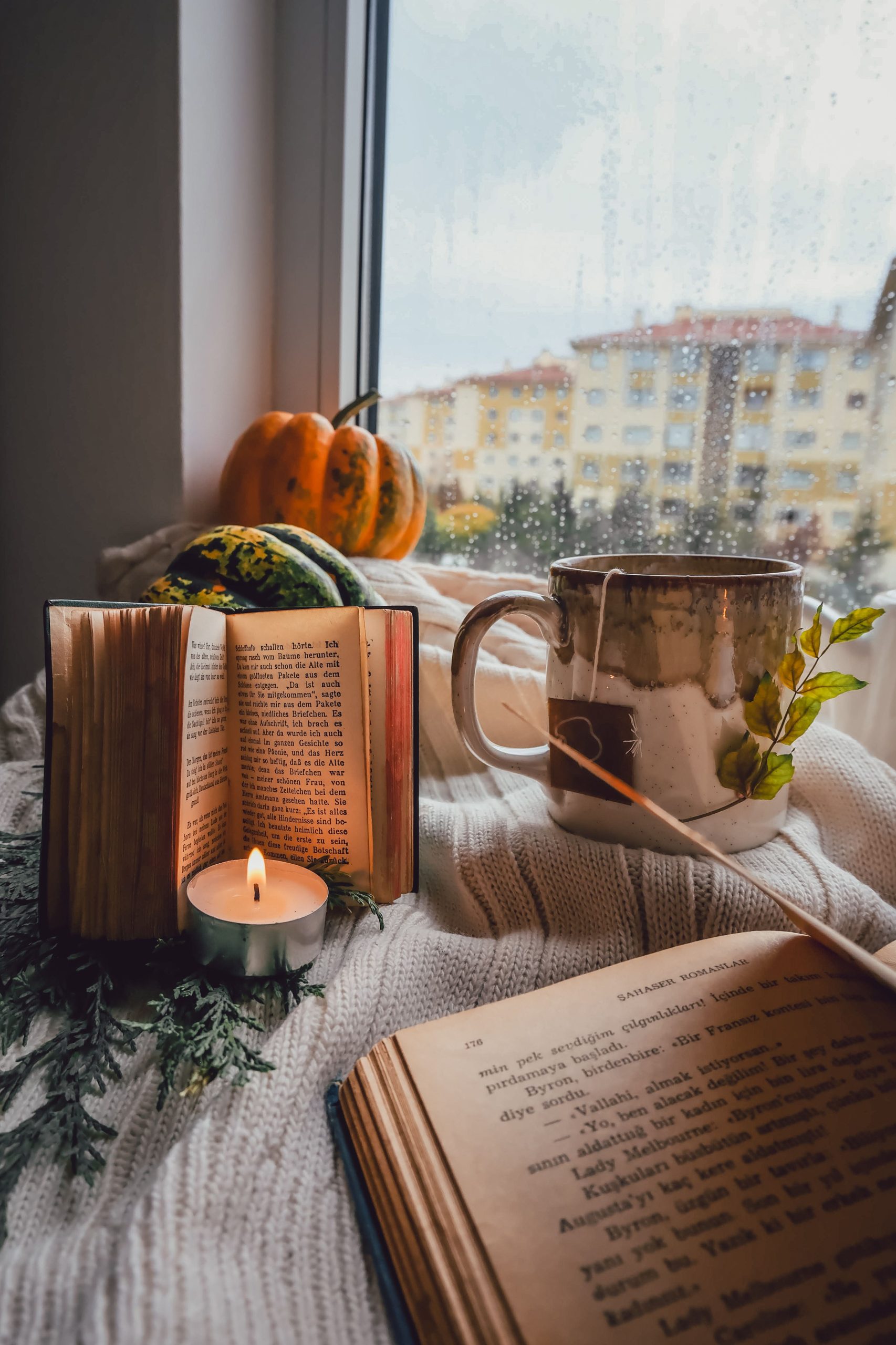 A warm and inviting autumn setting featuring books, pumpkins, and a candle by a window.