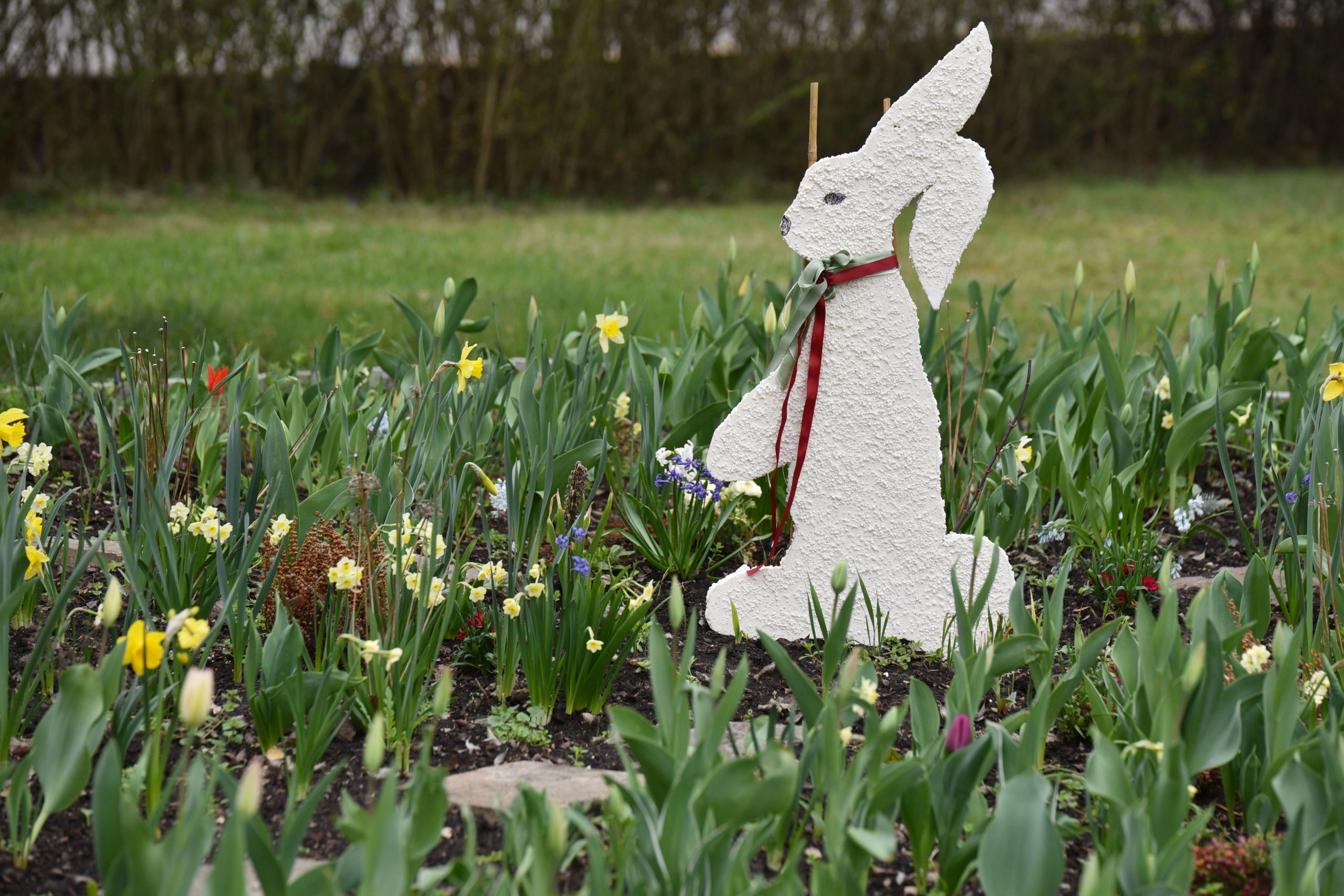 A whimsical Easter bunny statue amid blossoming spring flowers in a garden.