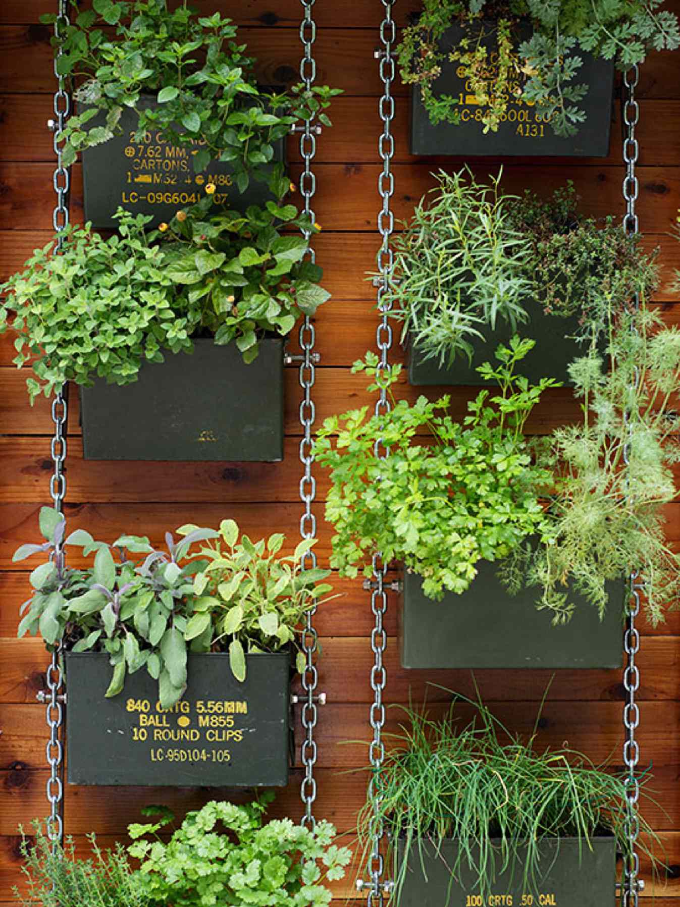 Add Vertical Gardening to Your Yard for Space-Saving Greenery