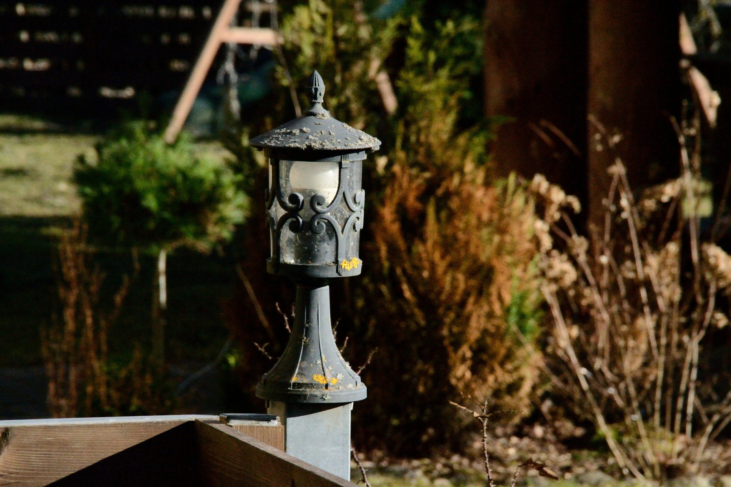 An old-fashioned lantern stands in a garden