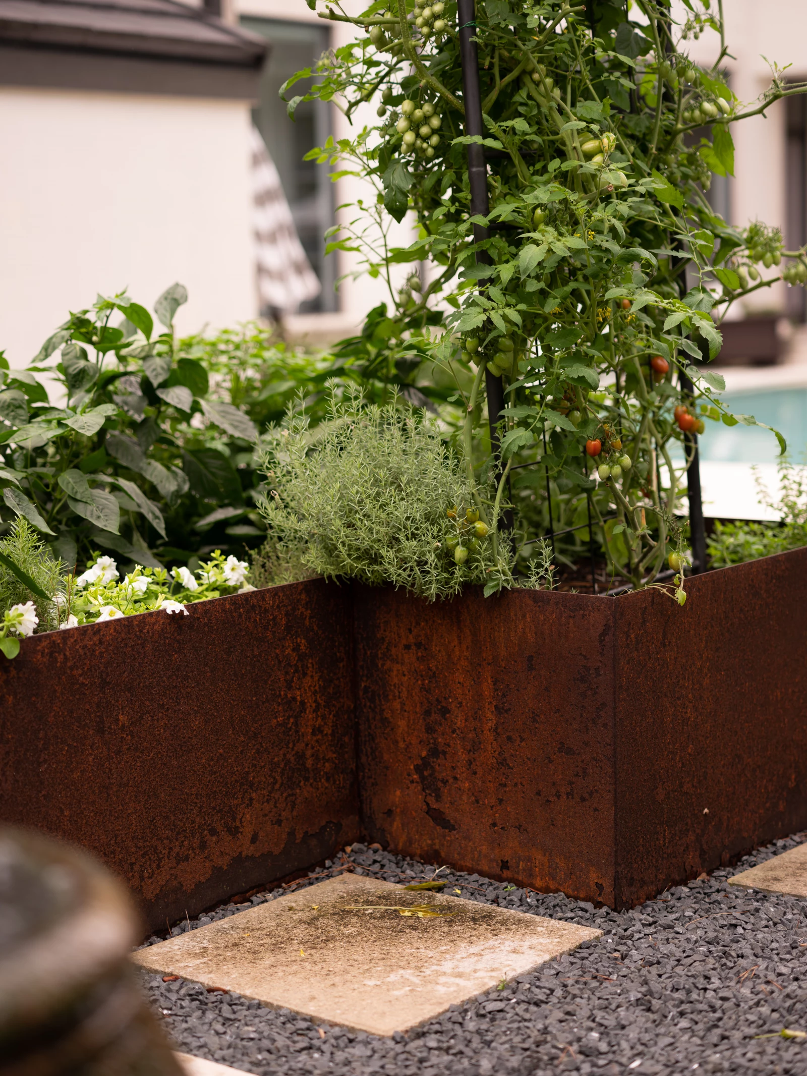 Are Raised Beds Worth the Cost? • Gardenary