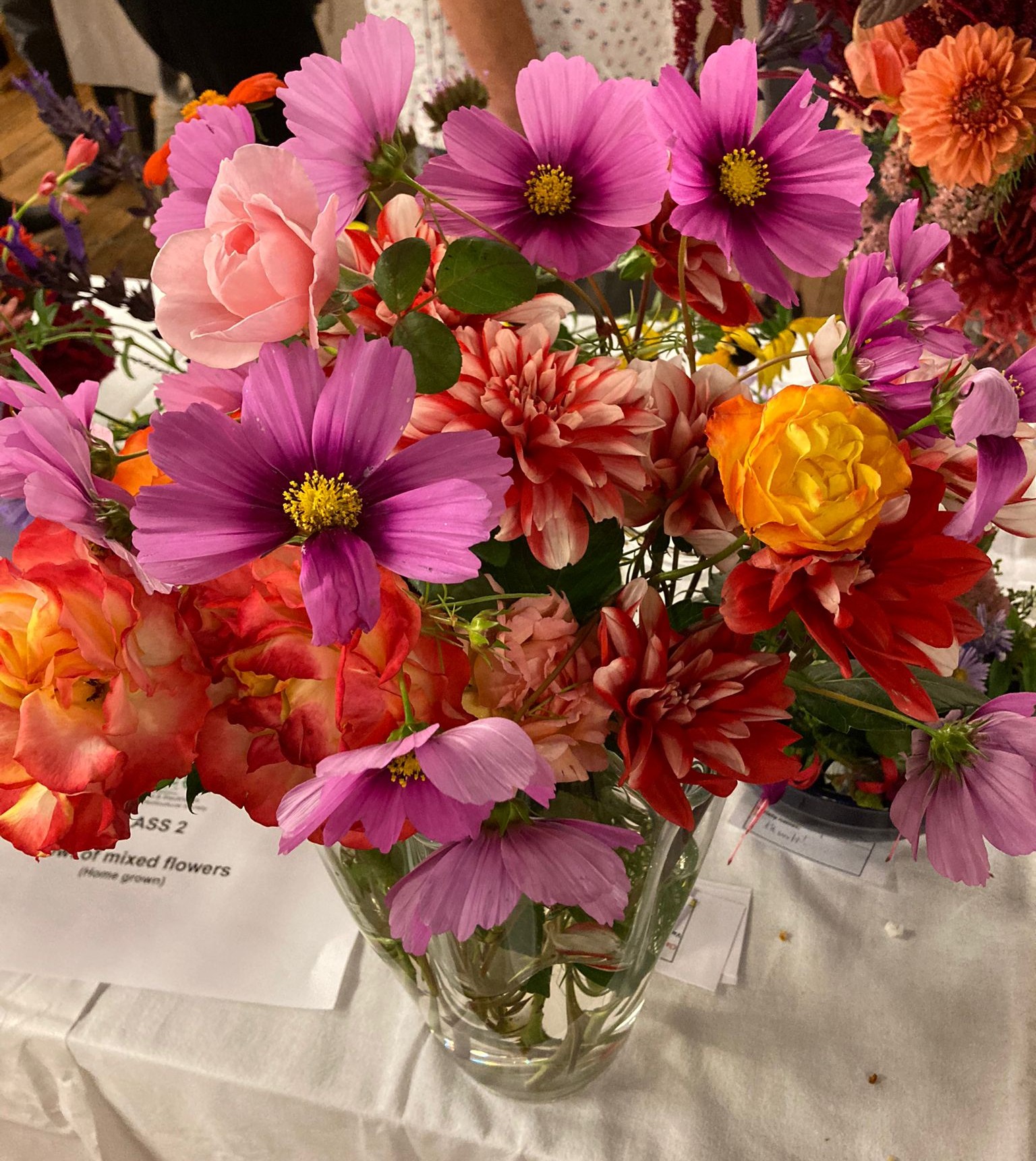 Autumn Flower, Fruit and Vegetable Display 2023 – Charlton and Blackheath Amateur Horticultural Society