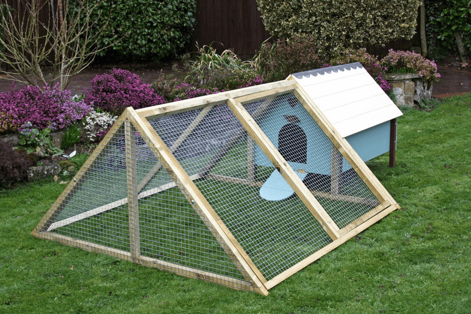 Backyard Chicken Coops: What You Need To Know | Fixr.com