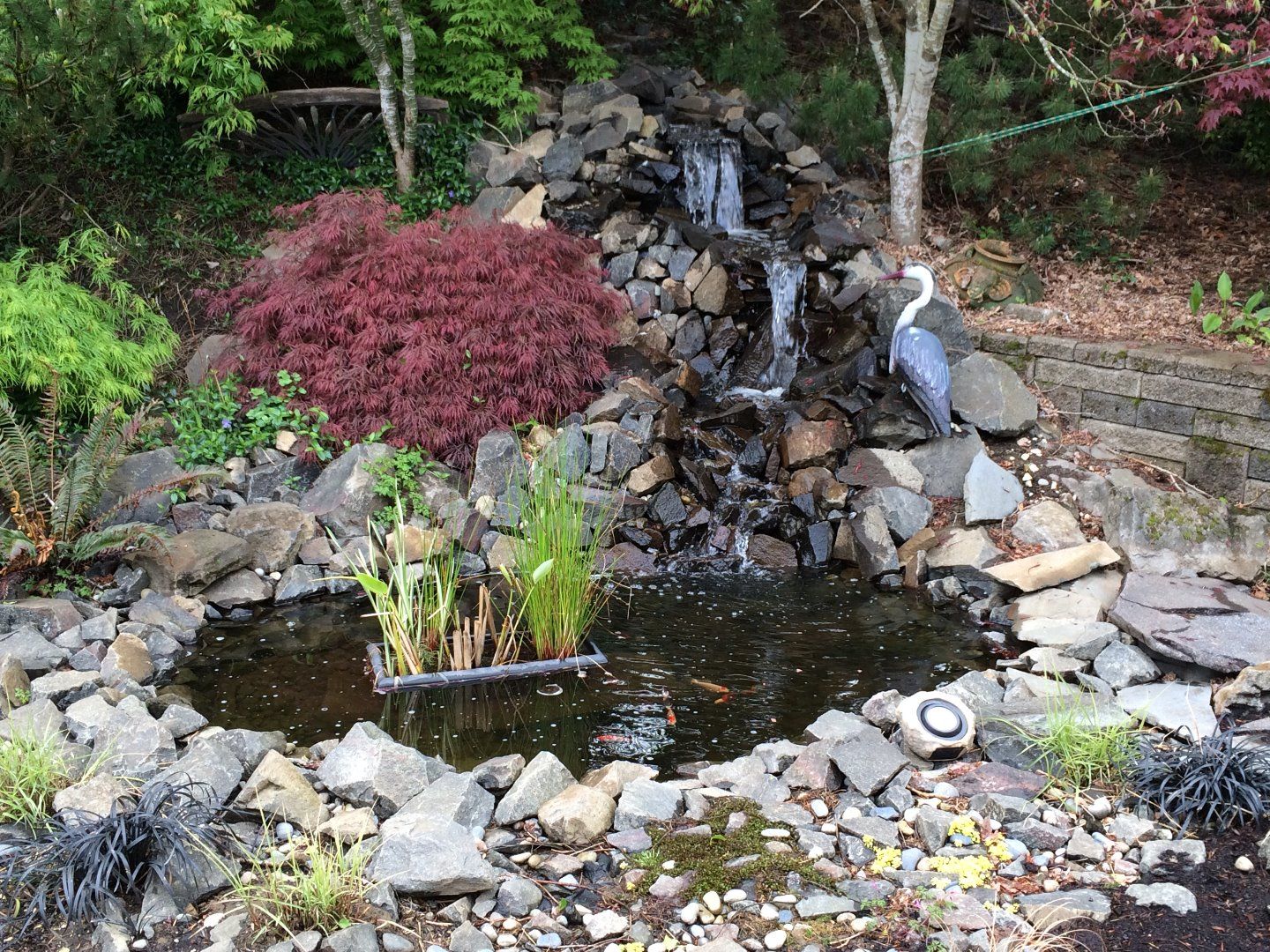 Backyard Pond and Waterfall: No Experience Necessary! : 9 Steps (with Pictures) - Instructables