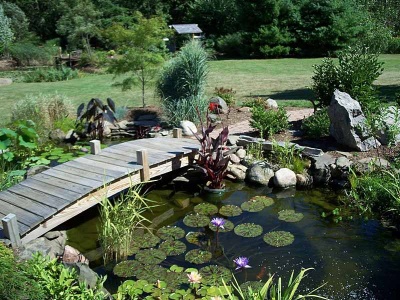 Backyard Ponds & Waterfalls in El Paso | Dorian Construction Group