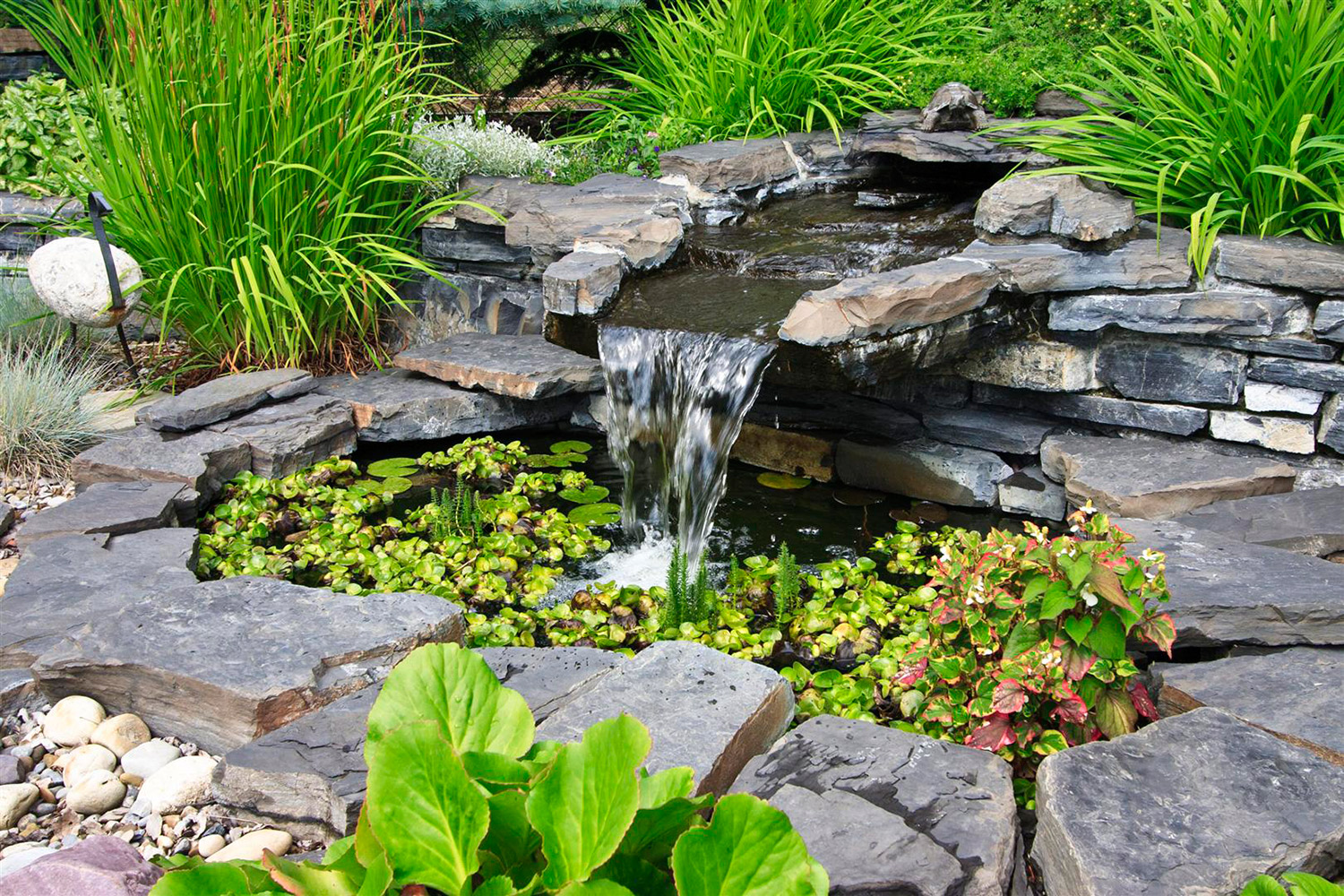 Backyard Ponds & Waterfalls Photos - The Landscape Artist - Calgary