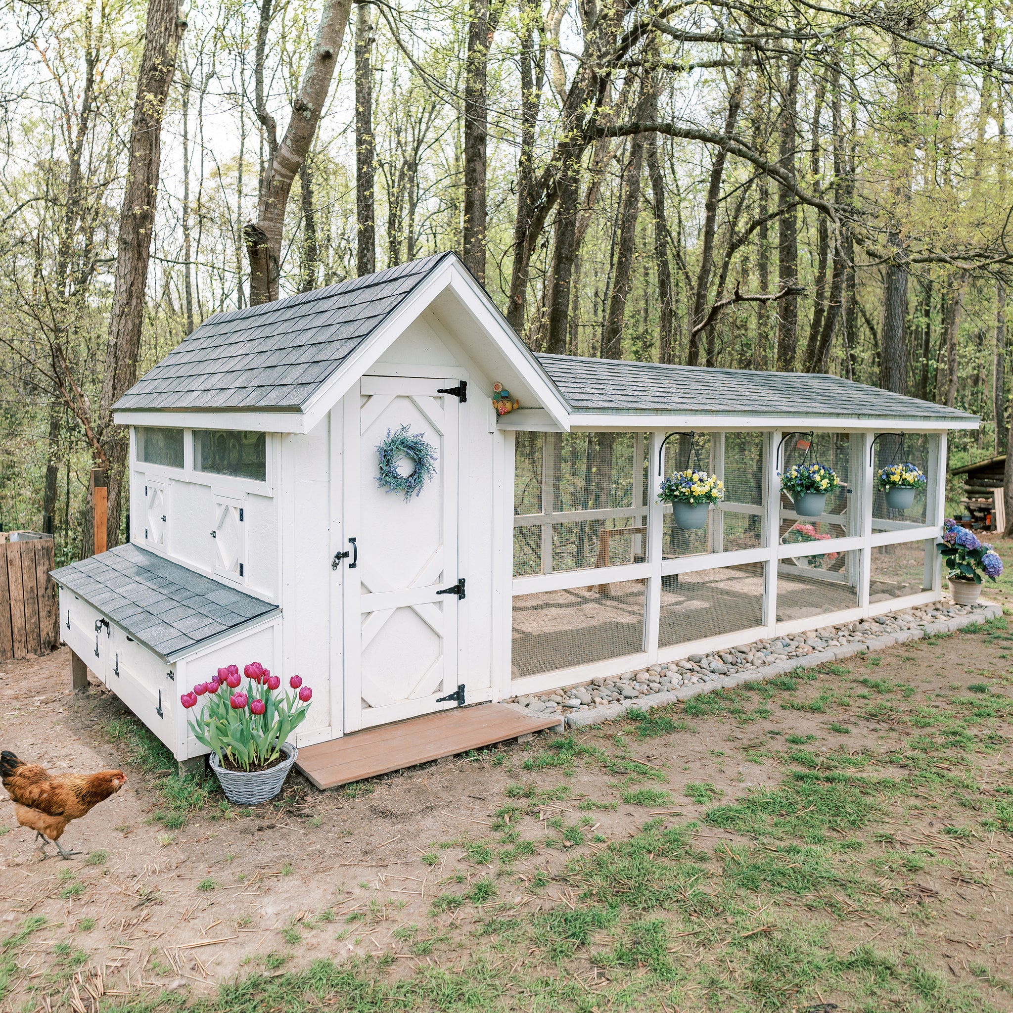 Bee Jeweled Coop (Run Right) | Chicken Coop Building Plans | 6-12 Chic