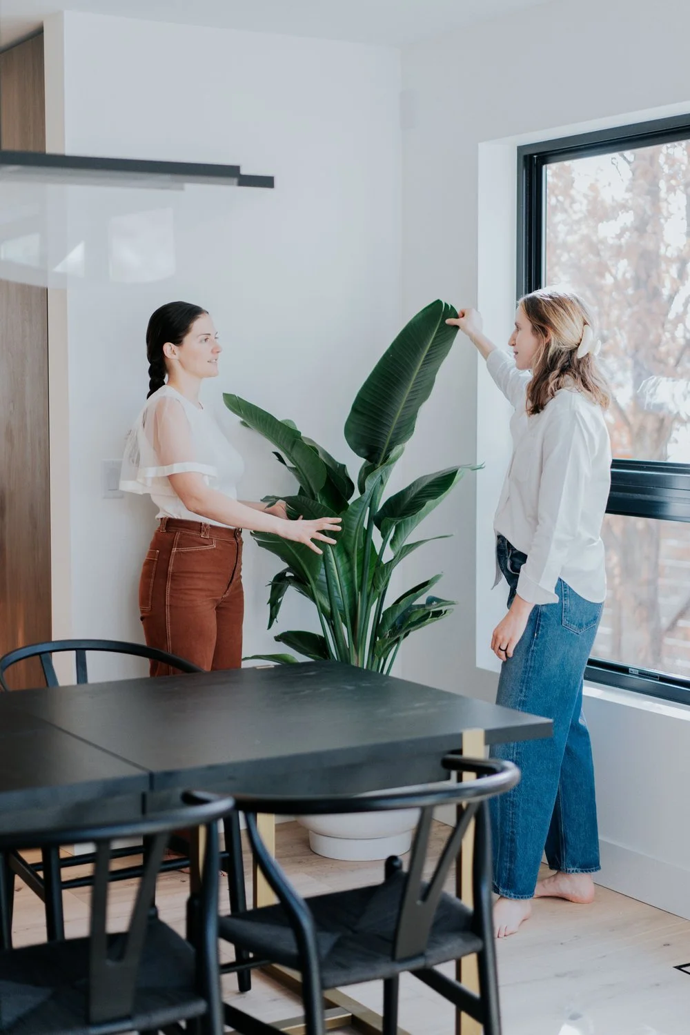 Biophilic Design | Tectonic Design Build