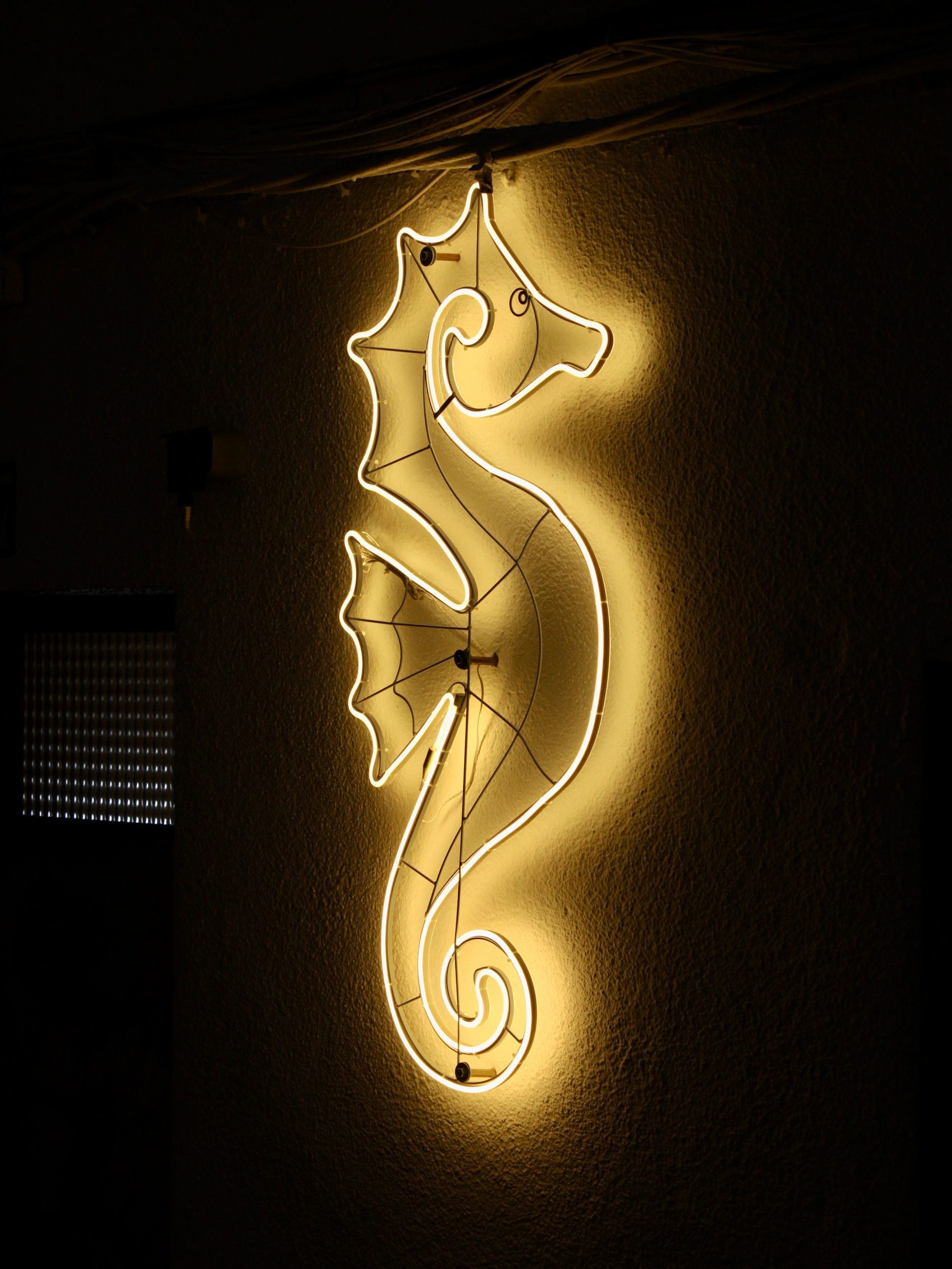 Bright neon seahorse sign illuminates a dark background, casting a warm glow.