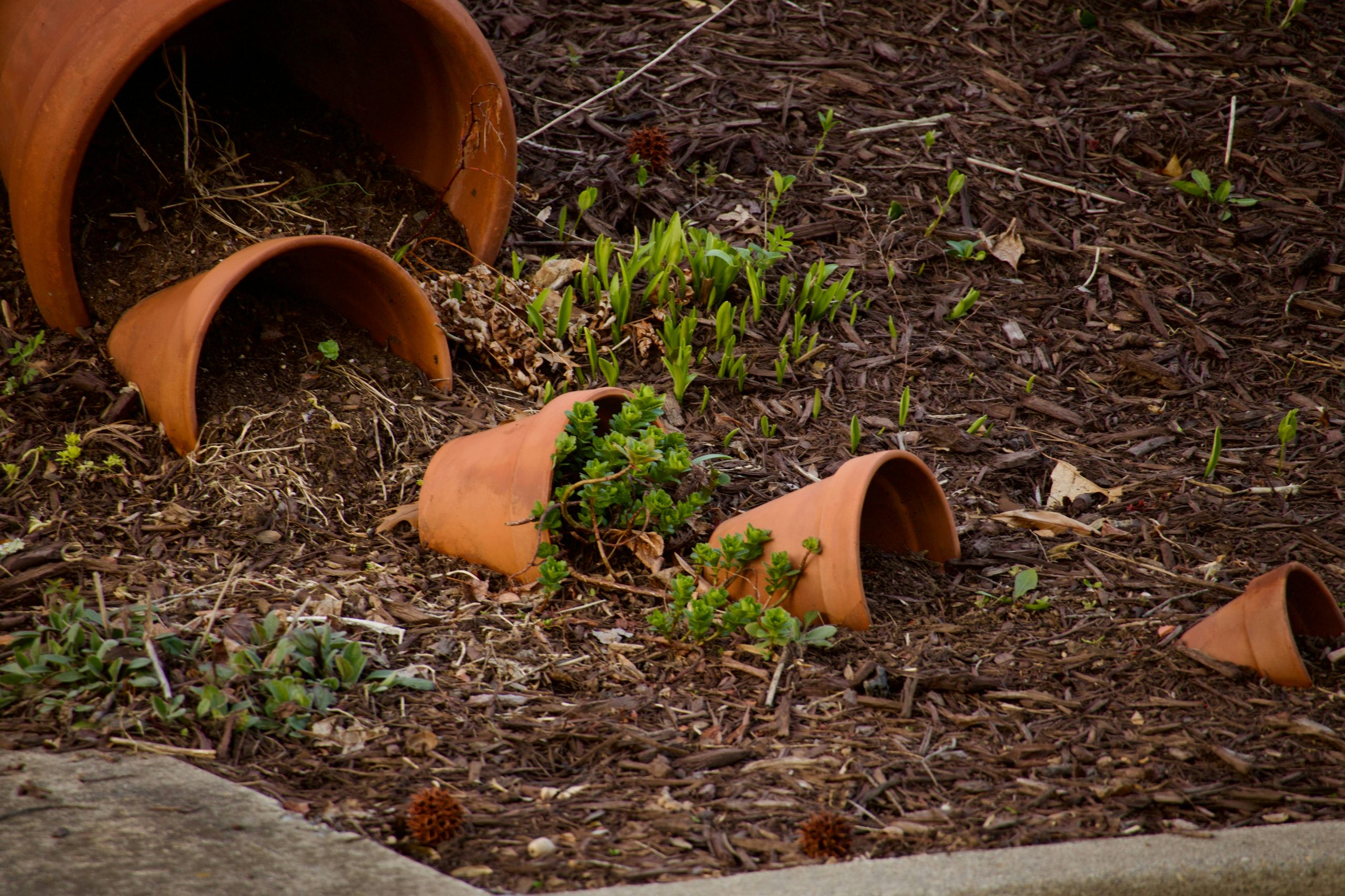 Broken terracotta pots scattered on the ground