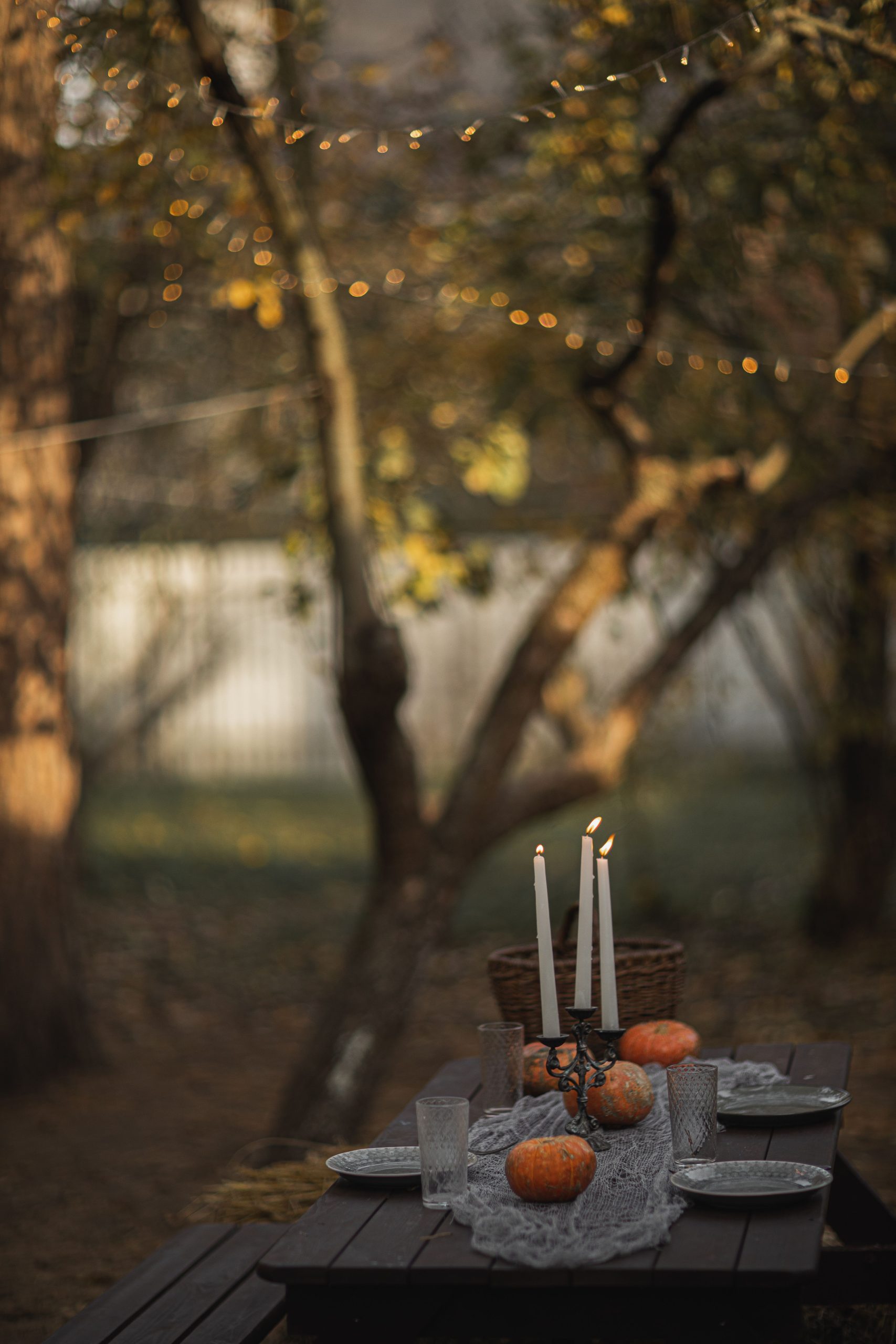 Charming fall outdoor dining scene with pumpkins and candlelight, perfect for seasonal gatherings.