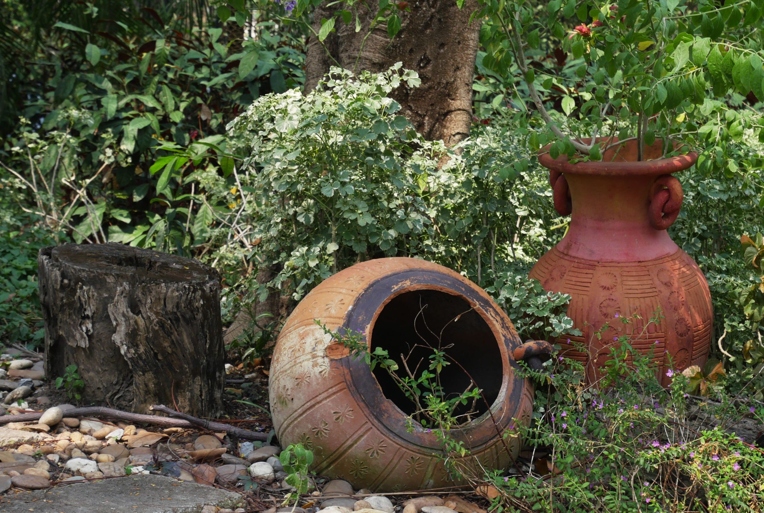 Charming garden setting with clay pots, tree stump, and lush greenery.