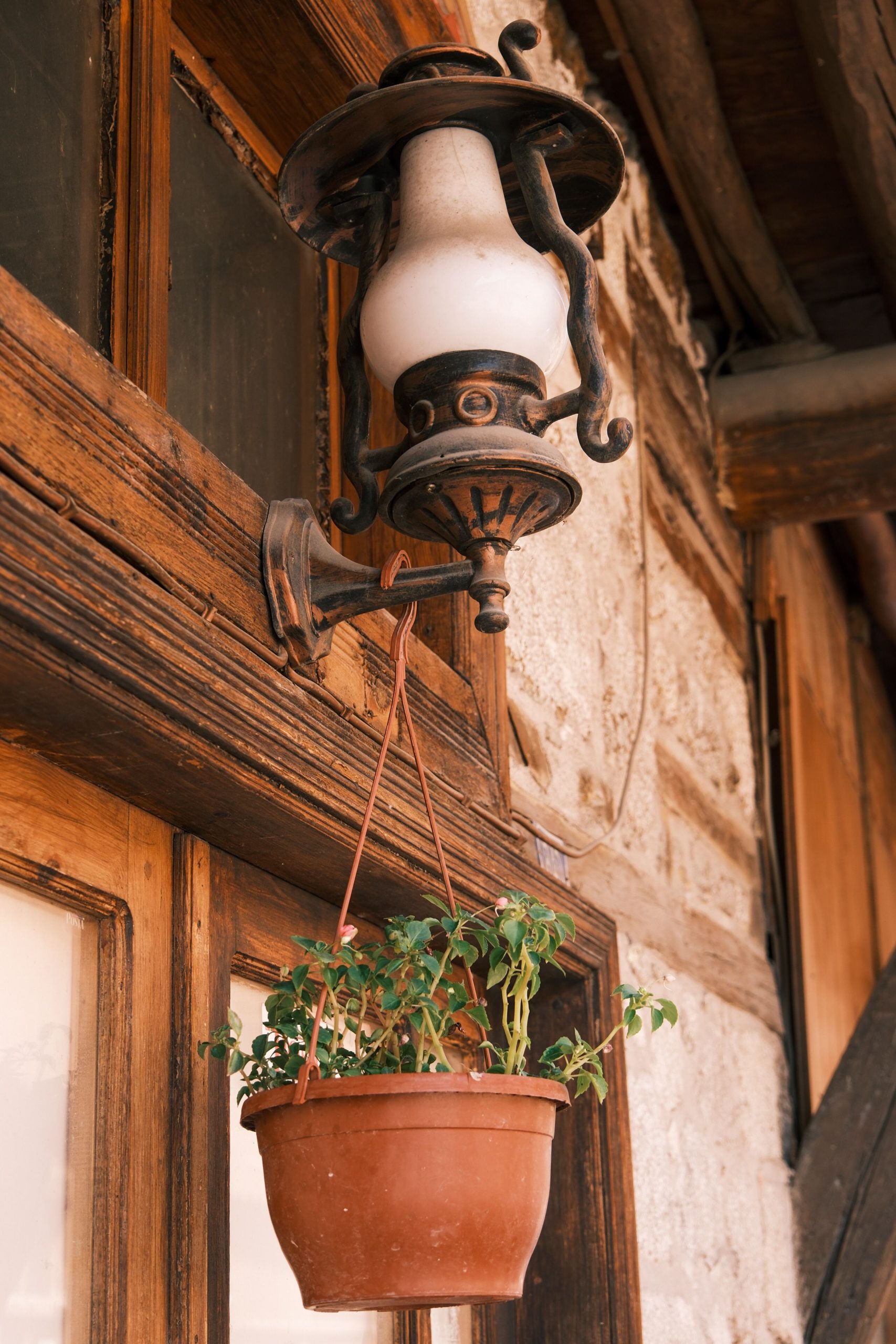 Charming rustic lantern on exterior wall with a hanging plant in a terracotta pot.