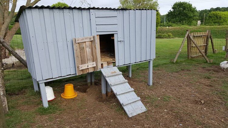 Chicken Coop Made Out of Shipping Wood Pallets – Pallet Wood Projects